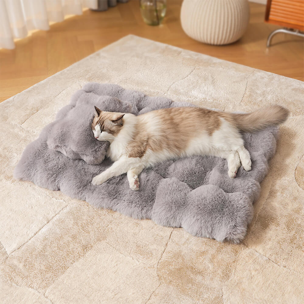 Tapis pour chien et chat en fausse fourrure de lapin ultra doux à motif ondulé avec oreiller pour animaux de compagnie