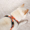Arnés de perro duradero ajustable en forma de X kit de correa