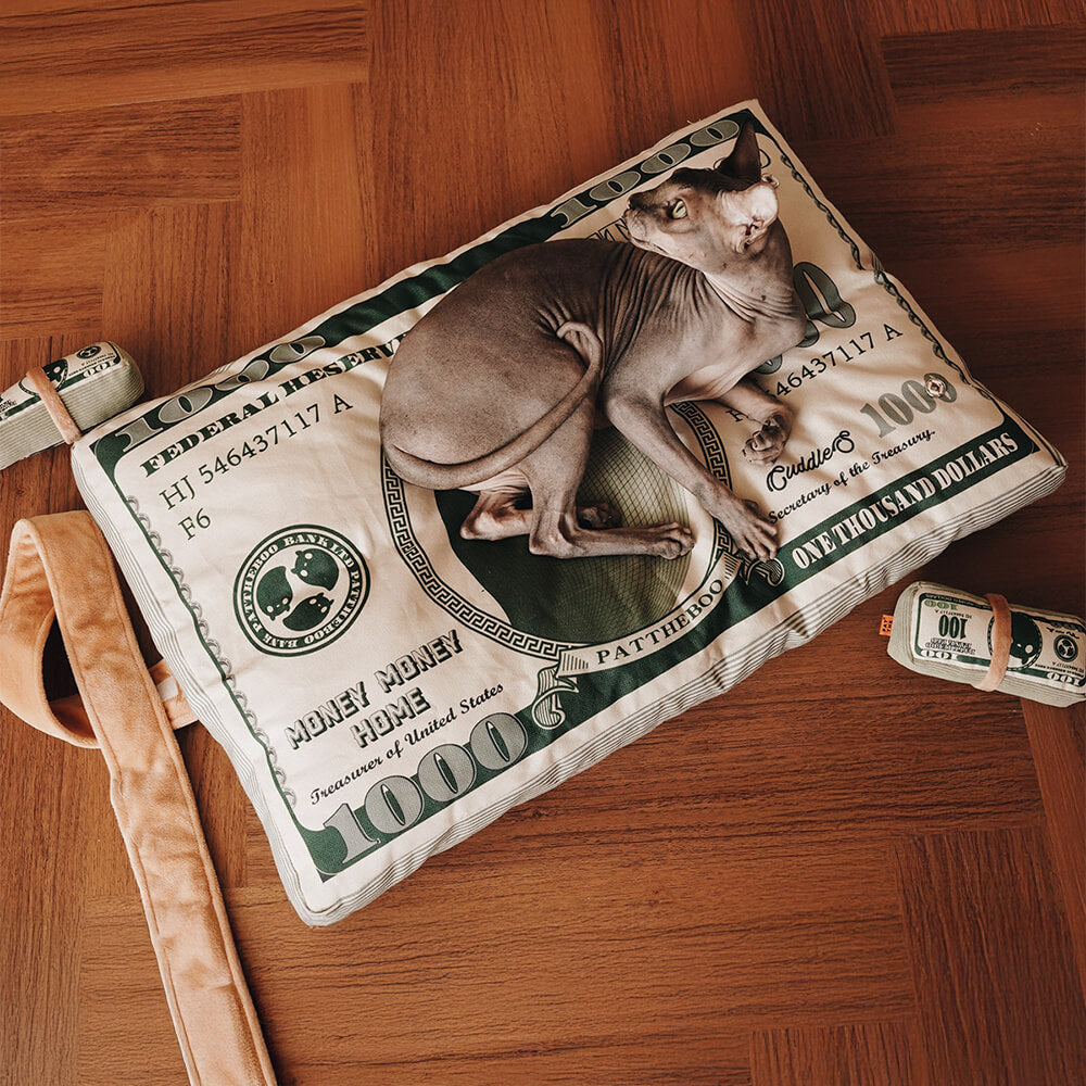 Durable Canvas Money-Themed Cat Bed