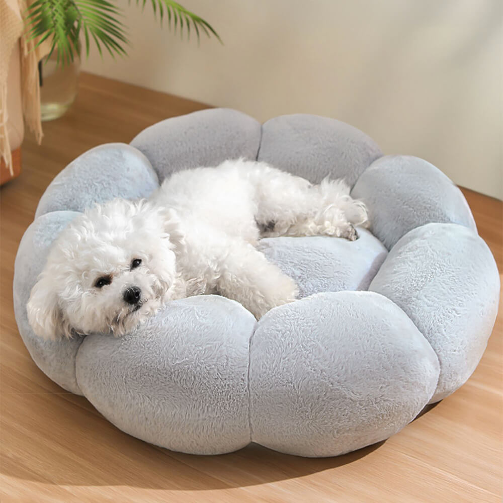 Flower Warmth Full Support Washable Decoration Dog & Cat Bed