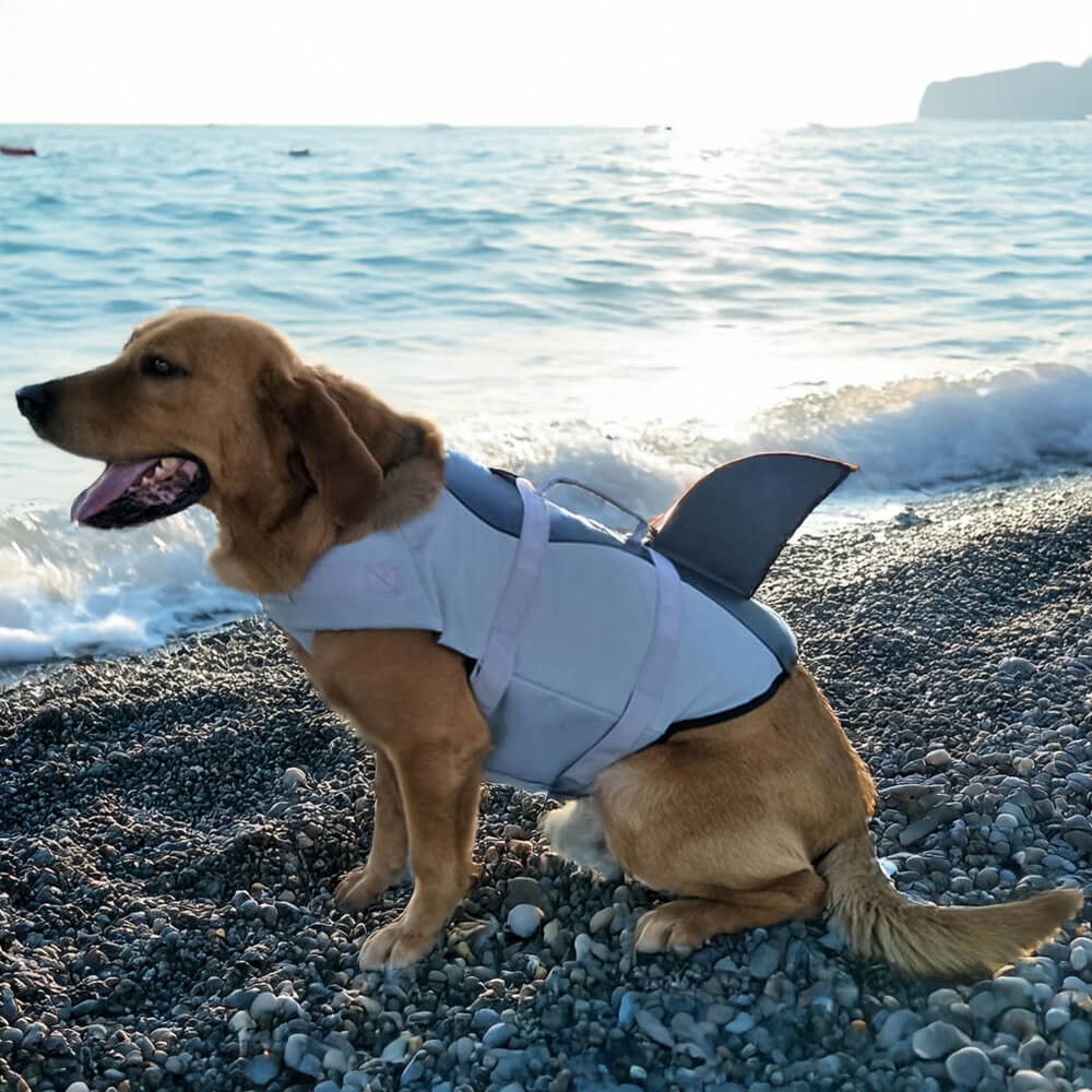 Mermaid y tiburón