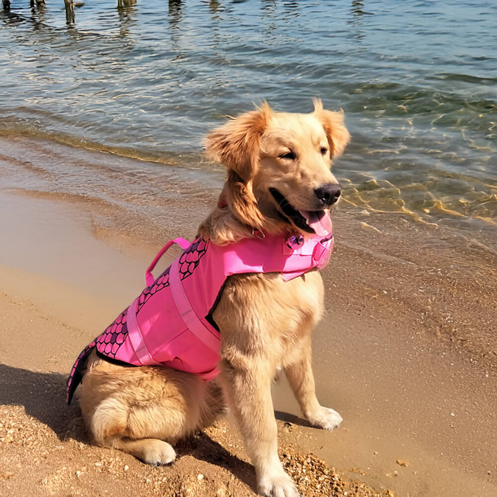 Mermaid y tiburón