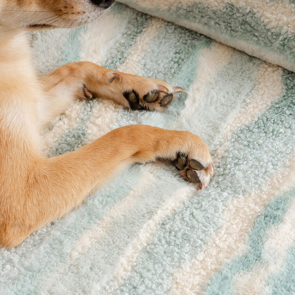 Gemütliches orthopädisches Hundesofa im modernen Stil aus Lammwollimitat