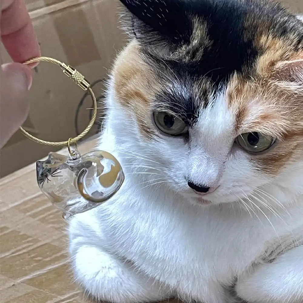 Multi-Pack Mini Pet Hair Capsule Keychain Charm for Dog & Cat Lovers