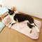 Serie Ocean Silk Silk Matina de perros de enfriamiento transpirable con almohada