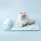 Serie Ocean Silk Silk Matina de perros de enfriamiento transpirable con almohada