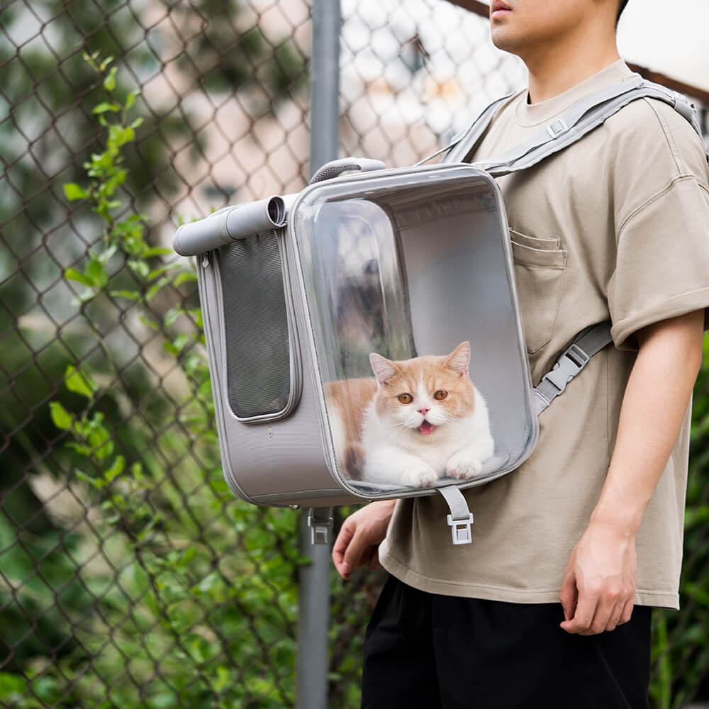 Sac à dos Transparent à double usage pour animaux de compagnie, boîtier de transport pour chats, avec roue silencieuse