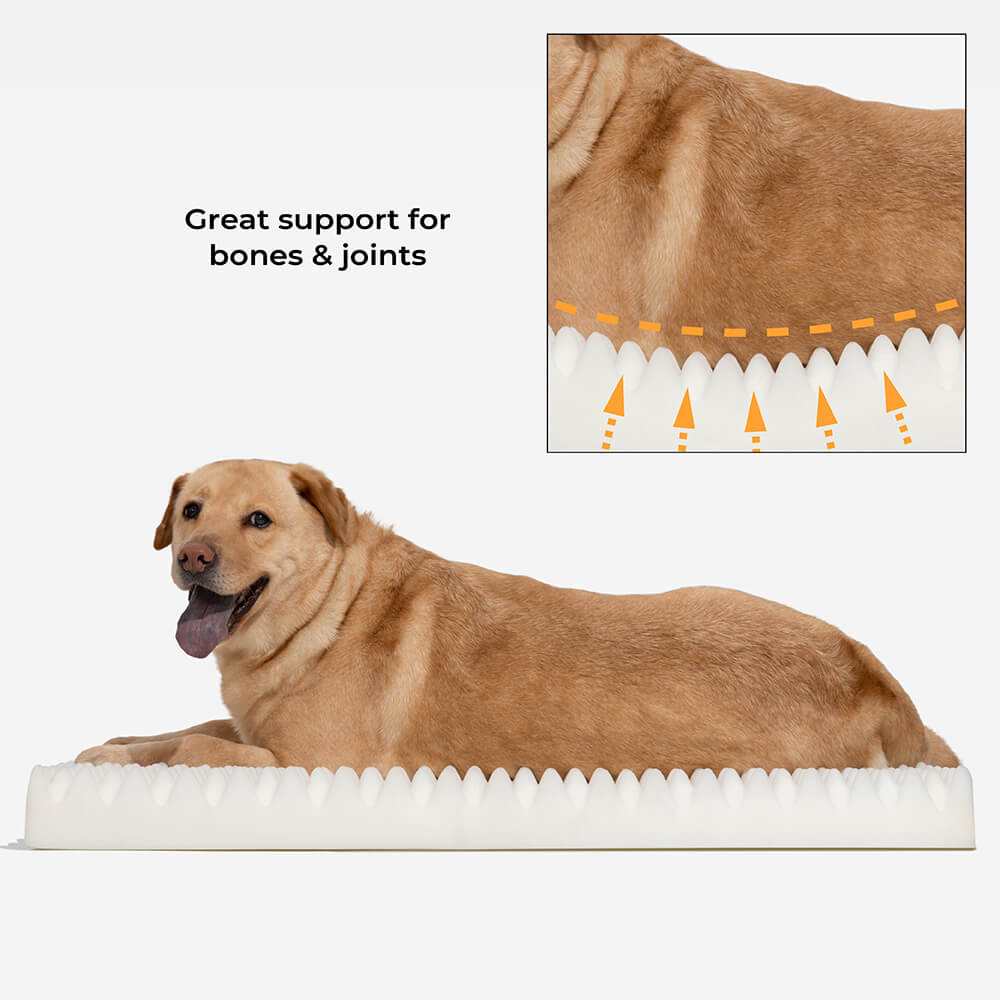 Ultimatives gemütliches Plüsch-Extra-großes orthopädisches Hundebett mit tieferem Schlaf