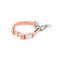 Collier de dressage pour chien Martingale anti-traction Chain Reaction