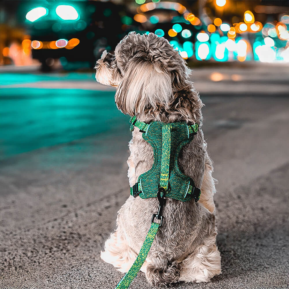 Umweltfreundliches No-Pull-Hundegeschirr und Leine aus recyceltem Stoff