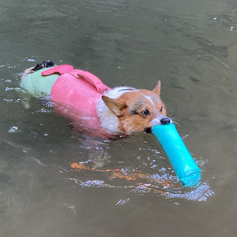 Juguetes interactivos al aire libre resistentes a tirar juguetes flotantes para perros