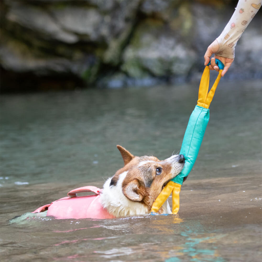 Interaktives Spielzeug für den Außenbereich, resistent gegen Zugschwimmspielzeug für Hunde