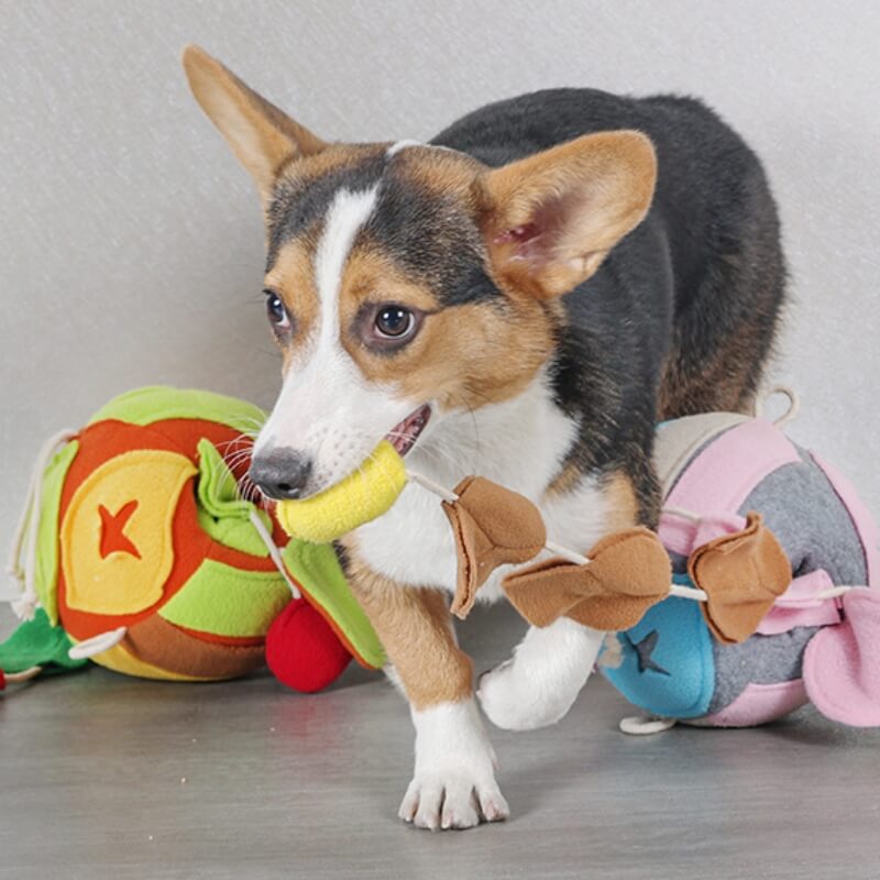 Puzzle interactif, jouet grinçant, boule de feuille, distributeur de friandises pour chien