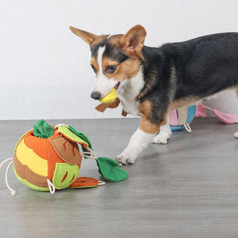 Puzzle interactif, jouet grinçant, boule de feuille, distributeur de friandises pour chien