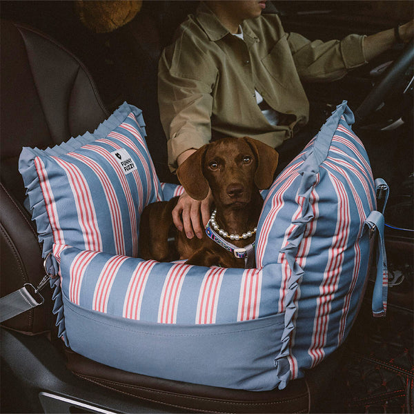 Rehausseur de siège de voiture imperméable pour chien, sécurité de voyage à rayures en dentelle