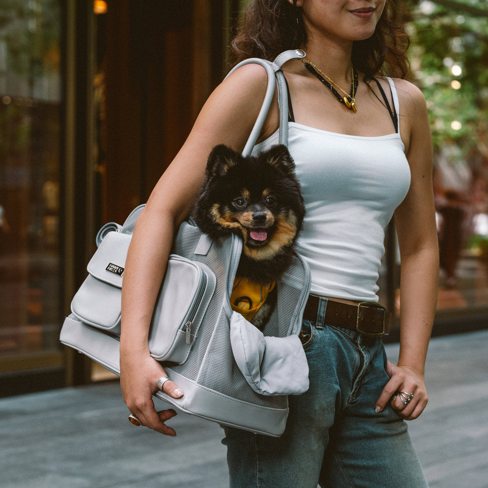 Carrier de mascotas de malla transpirable ligero - Urban Facil