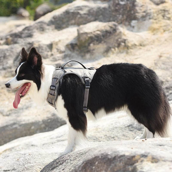 Arnés anti-pull de explosión a prueba de explosión multifunción a un arnés para perros grande