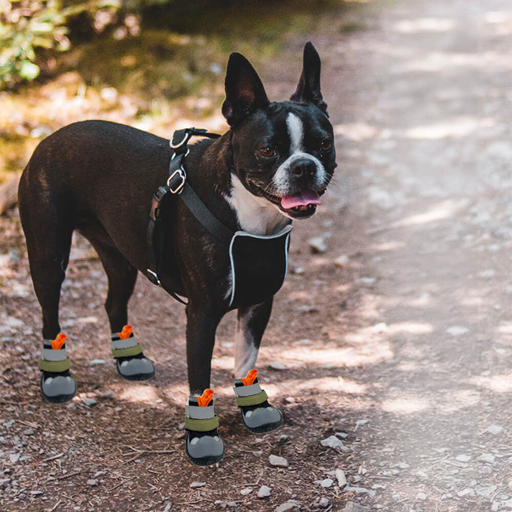 Zapatos antideslizantes para perros para correr, transpirables, para exteriores