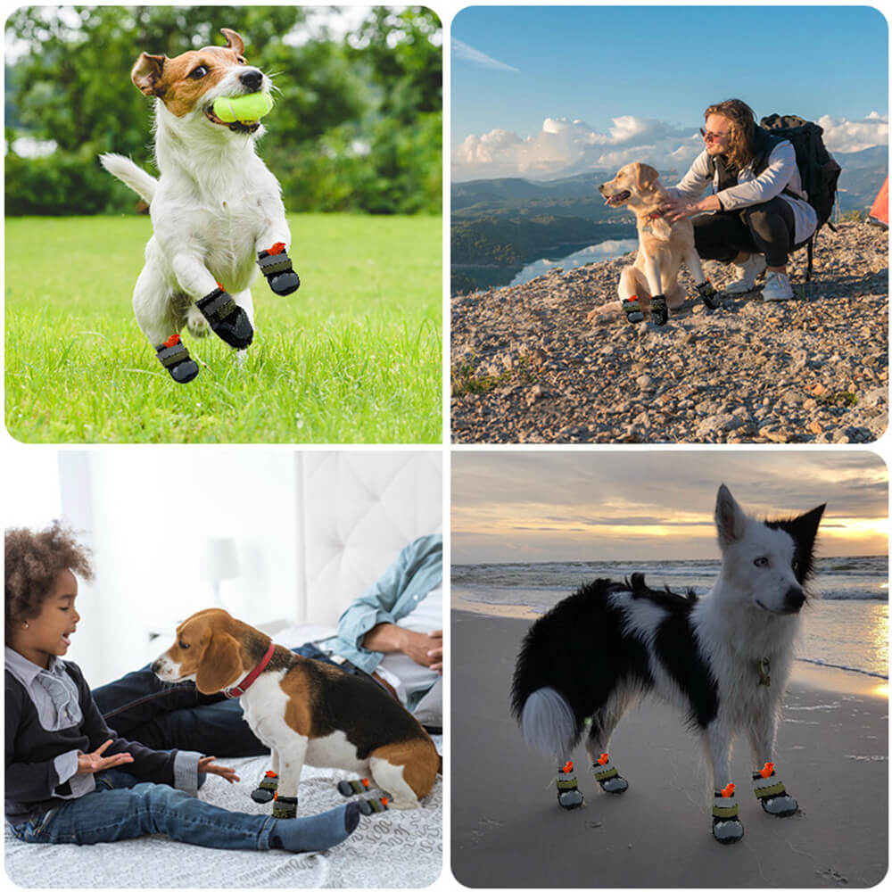 Zapatos antideslizantes para perros para correr, transpirables, para exteriores