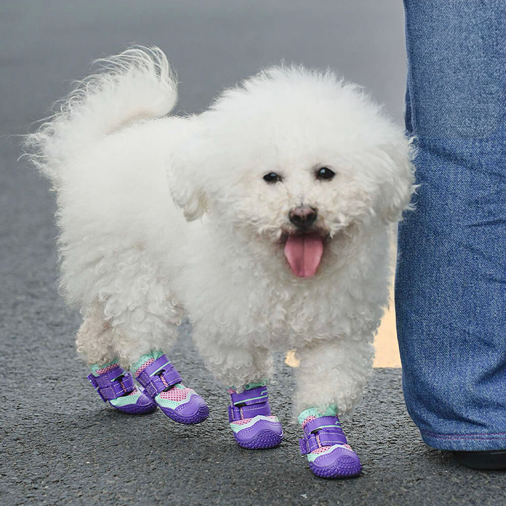 Zapatos antideslizantes para perros para correr, transpirables, para exteriores