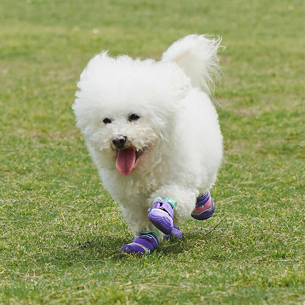 Zapatos antideslizantes para perros para correr, transpirables, para exteriores