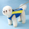 Outdoor-Sport-Haustier-Sonnenschutzkleidung, cooles Hundezubehör, Kühlweste