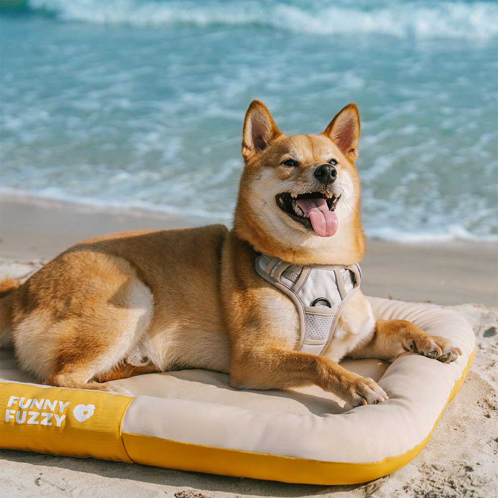 Outdoor Waterproof Memory Foam Orthopedic Dog Mat - Trek Lounge