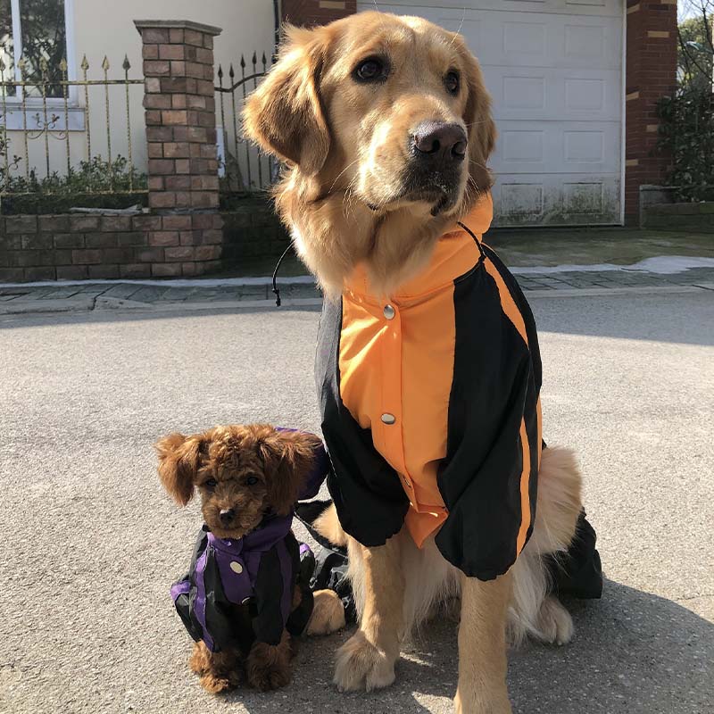 Manteau imperméable à couverture complète pour chien en tissu Oxford avec pattes et capuche