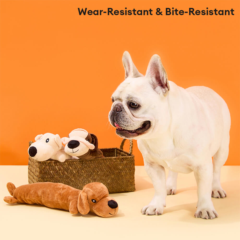 Plush Squeaky Durable Bite-Resistant Dog Chew Toy