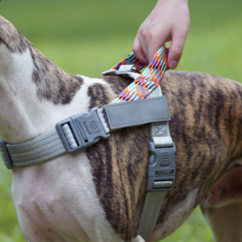 Reflective Buffer Anti Pull Large Dog Harness For Trunk