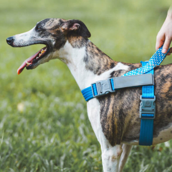 Buffer reflectante anti splate grande arnés para perros para el tronco