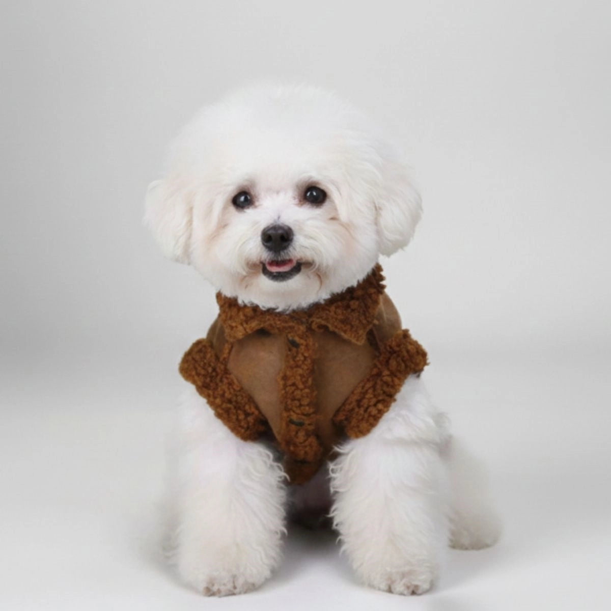 Chaqueta para perros de oveja: ropa exterior de invierno cálida y elegante