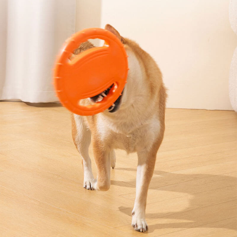 Volant en caoutchouc, jouet interactif pour chien, disque volant