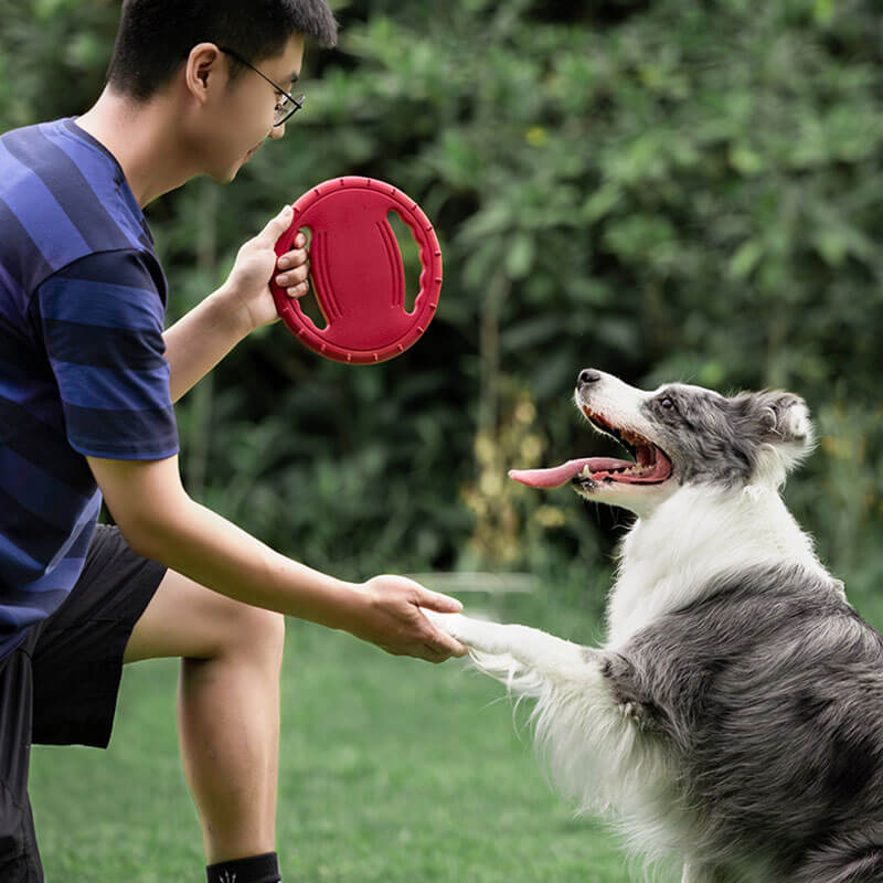 Volant en caoutchouc, jouet interactif pour chien, disque volant