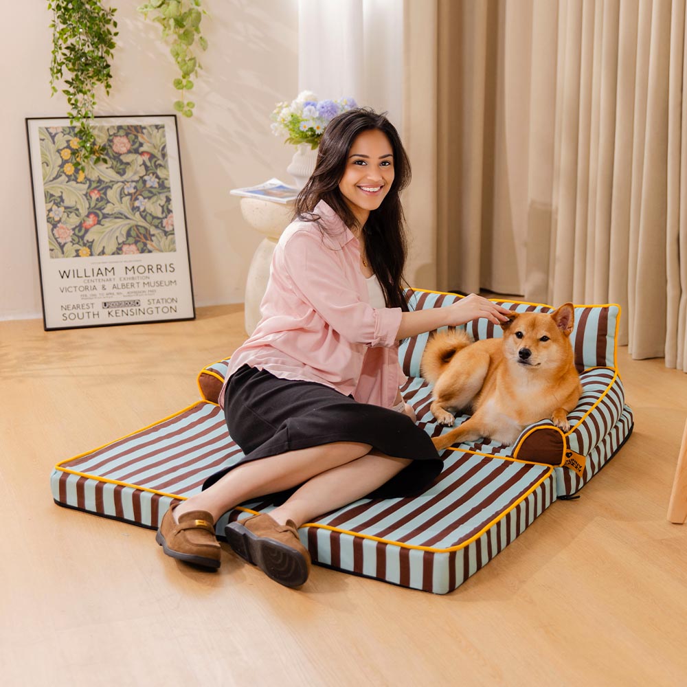 Stripe Waterproof Foldable Dog Sofa Bed - Sunny Siesta