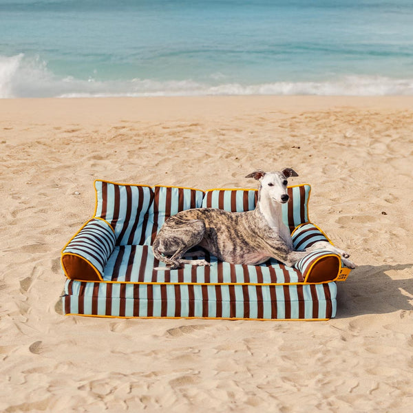 Cama de sofá de perros plegable de perros plegable impermeable de rayas - siesta soleada