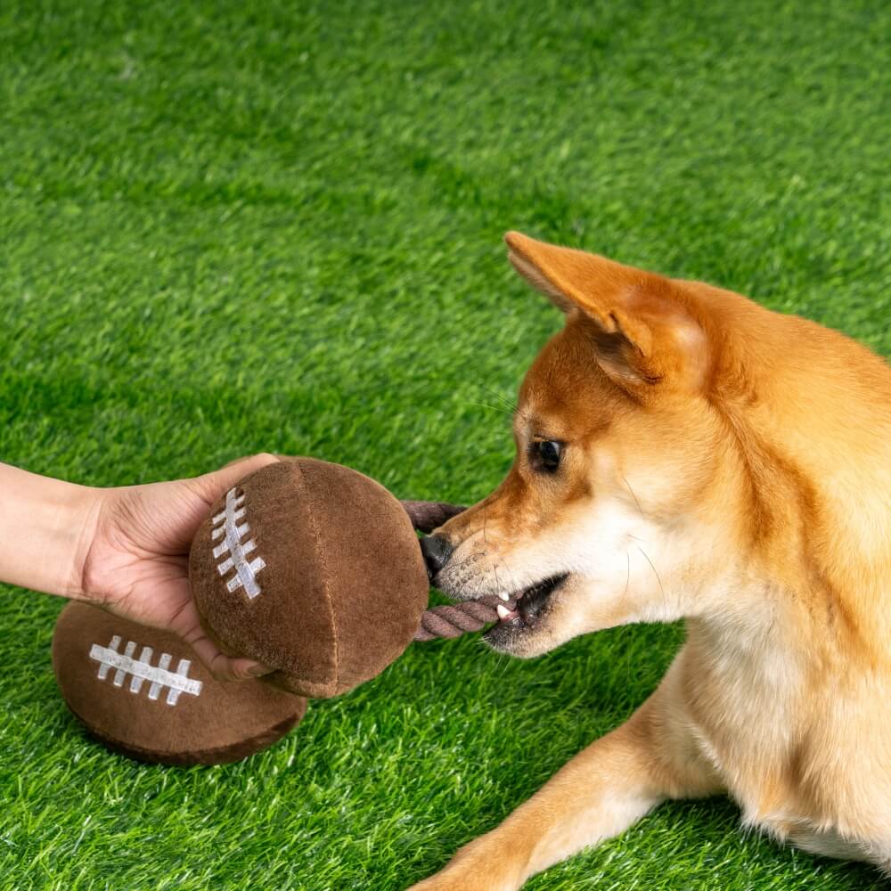 Super Bowl Plüsch-Rugby-Fußball-Sound-Spielzeug, interaktives Hundespielzeug