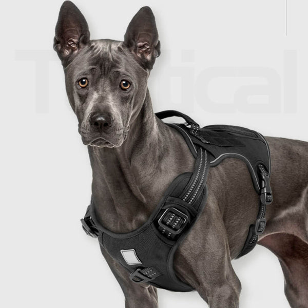 Táctico pesado sin tirón fácil de perros para perros