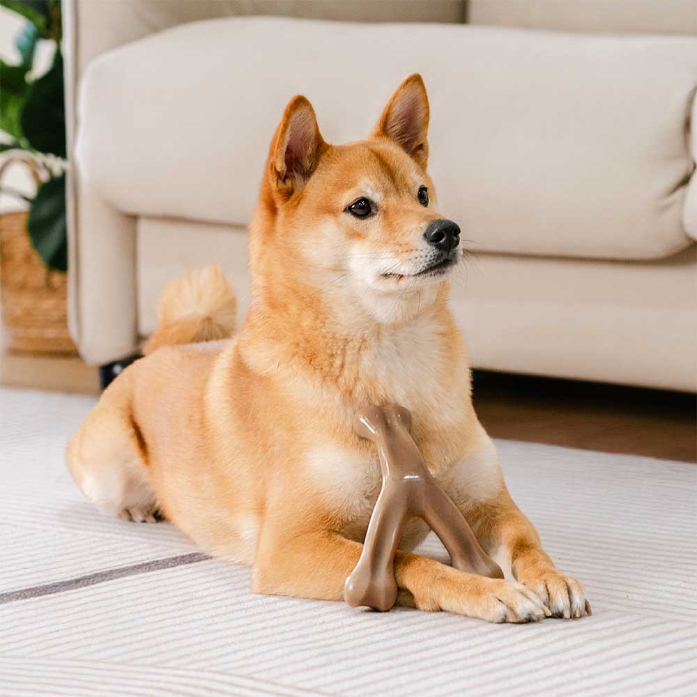 Juguete masticable para perros con huesos para la dentición, sabor a tocino