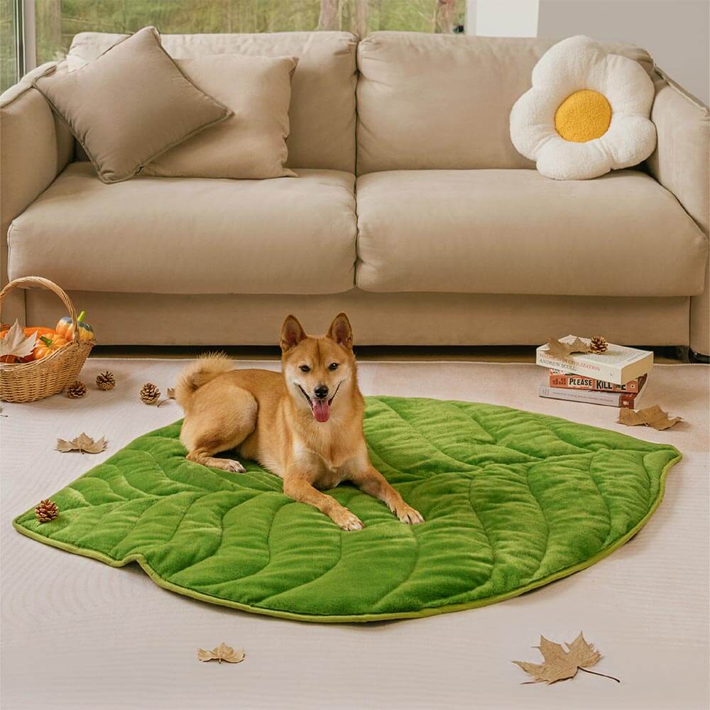 Tapis pour chien lavable en forme de feuille en peluche - Le collecteur de feuilles