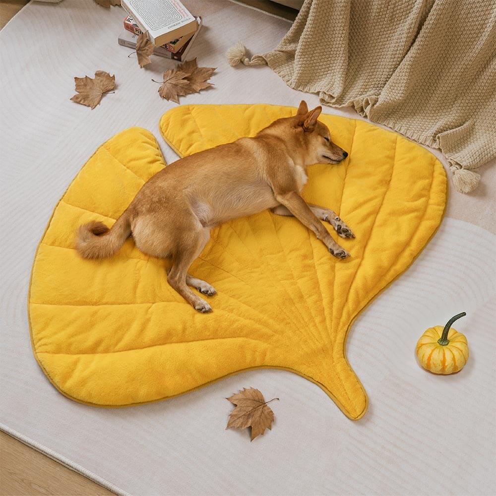 Tapis pour chien lavable en forme de feuille en peluche - Le collecteur de feuilles