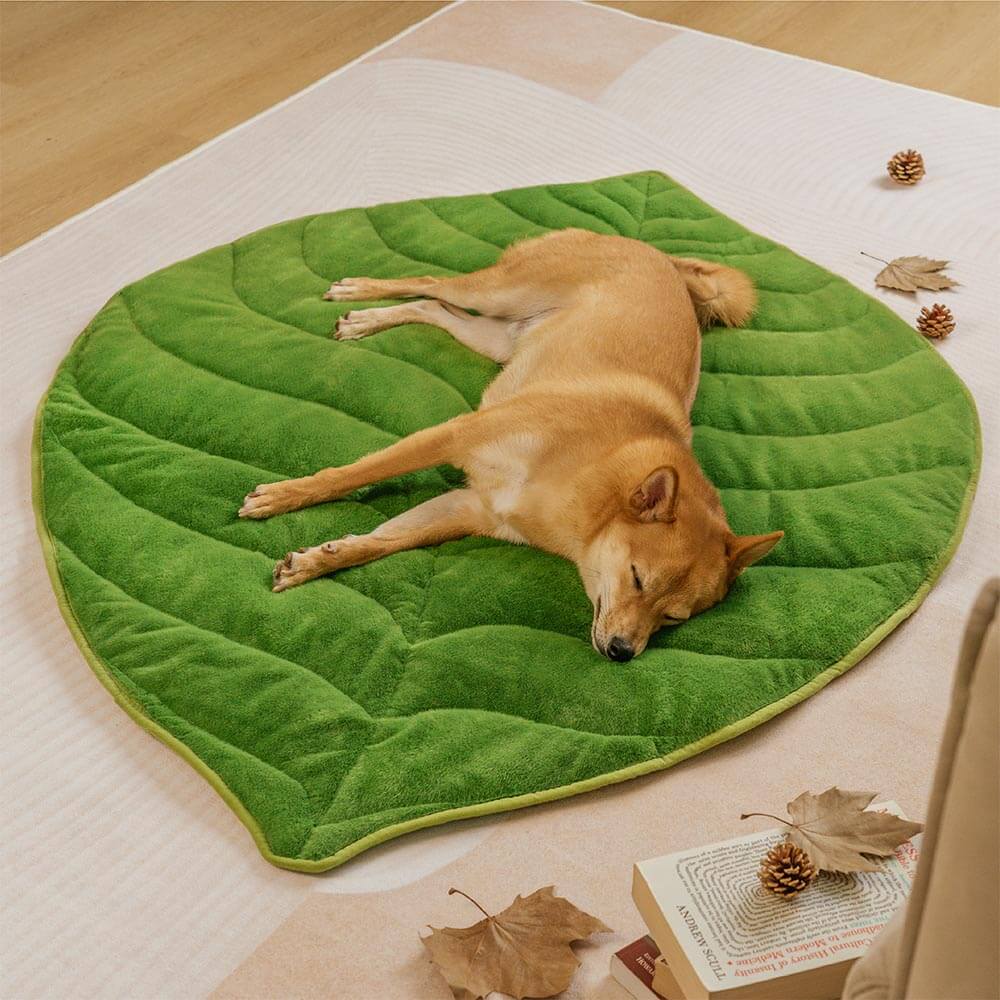 Tapis pour chien lavable en forme de feuille en peluche - Le collecteur de feuilles