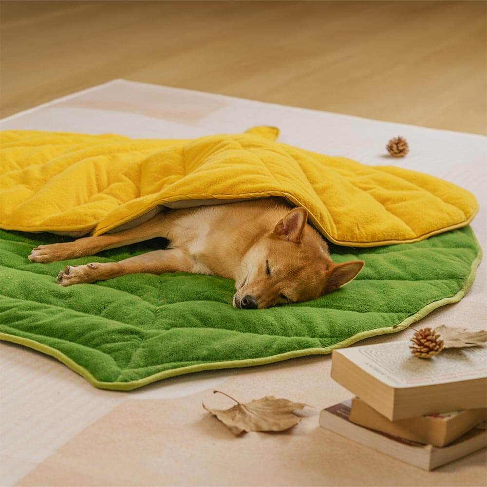 Tapis pour chien lavable en forme de feuille en peluche - Le collecteur de feuilles