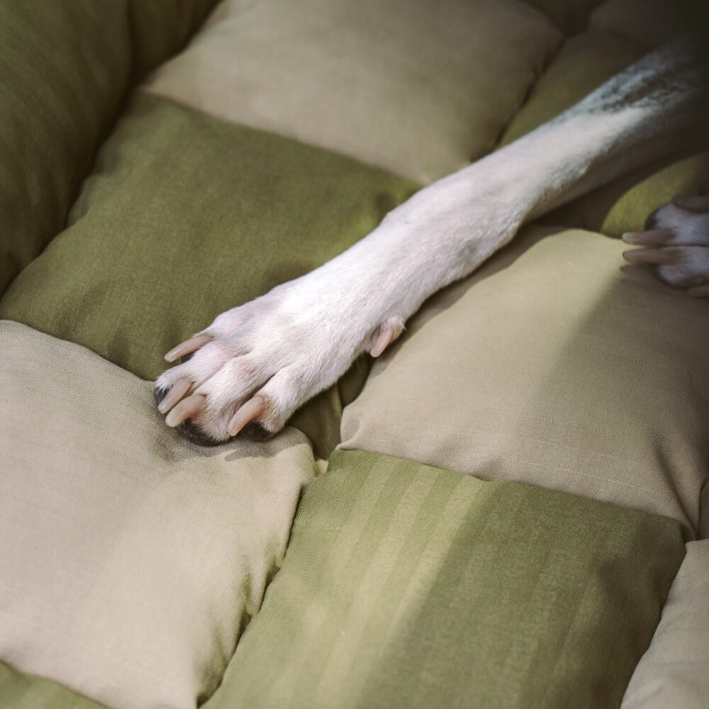 Travel Bolster Seguridad asiento trasero Bed de asiento para perros grandes - salón de ajedrez