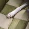 Travel Bolster Seguridad asiento trasero Bed de asiento para perros grandes - salón de ajedrez