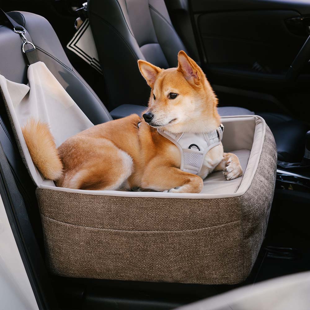 Reisesicherheitssitz, verdicktes, erhöhtes Hundeautositzbett