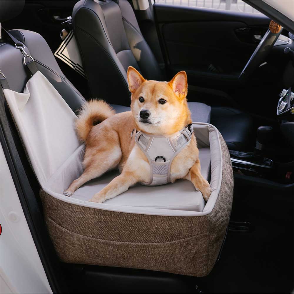 Reisesicherheitssitz, verdicktes, erhöhtes Hundeautositzbett