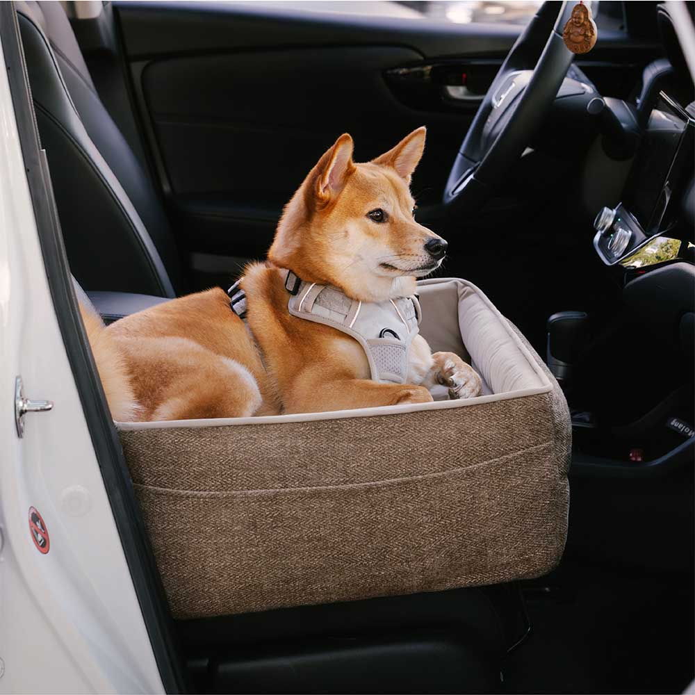 Reisesicherheitssitz, verdicktes, erhöhtes Hundeautositzbett