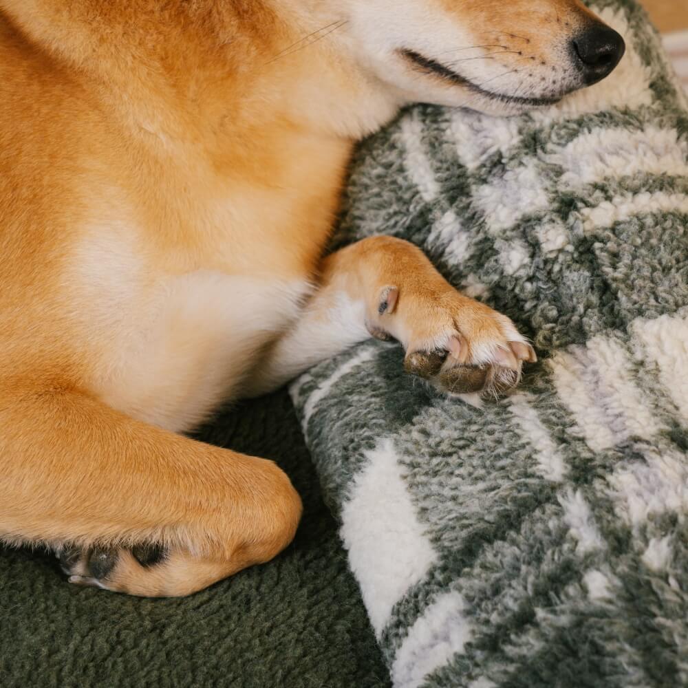 Waschbares, gemütliches, unterstützendes und beruhigendes Sofabett für Hunde und Katzen im Vintage-Stil