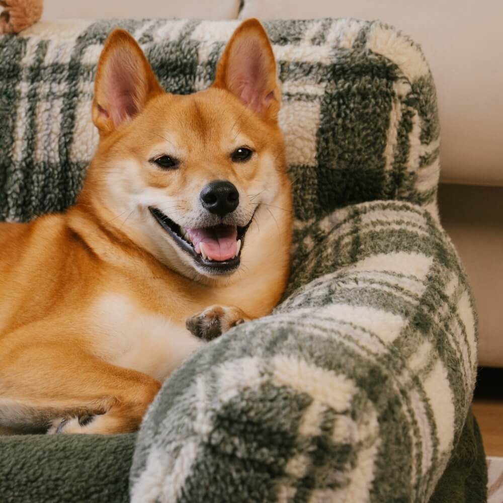 Waschbares, gemütliches, unterstützendes und beruhigendes Sofabett für Hunde und Katzen im Vintage-Stil